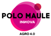 Polo_Maule_logo_HQ